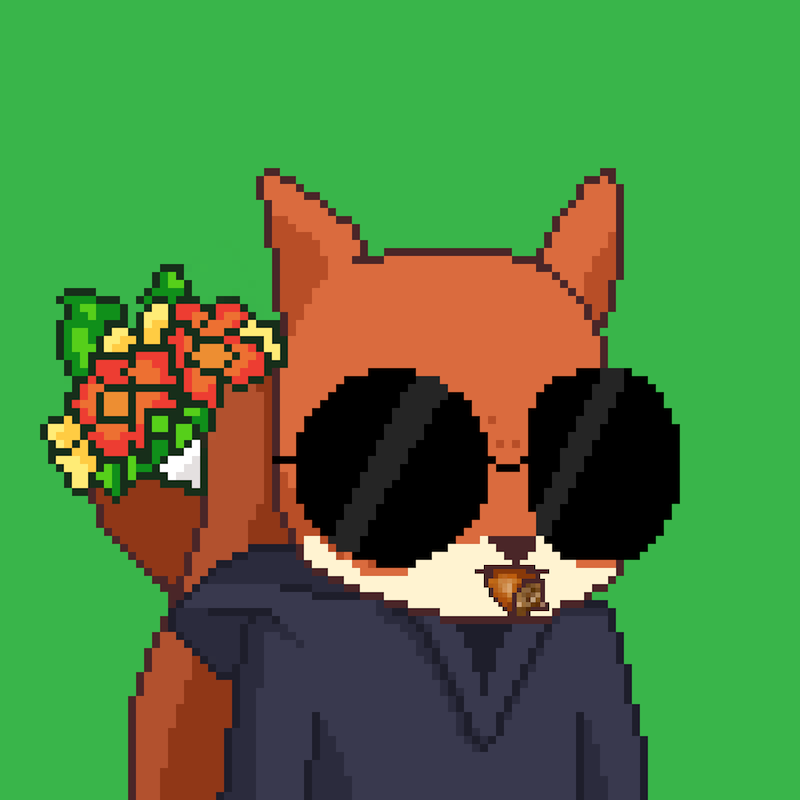 Pixel Squirrels #3375